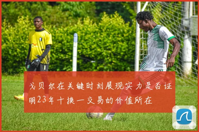 戈贝尔在关键时刻展现实力是否证明23年十换一交易的价值所在