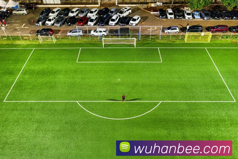 星空体育app官网入口网址平台生态图