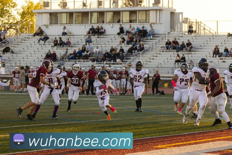 星空体育app官网入口网址APP 封面图